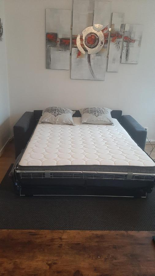 Appartement des 4 Saisons, 80m², 6P, lumineux et traversant Grenoble Extérieur photo